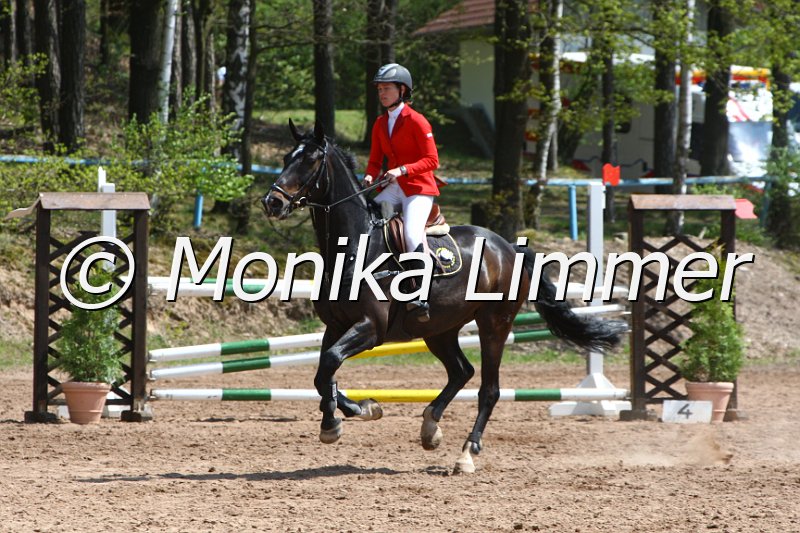 004M2054_Caatingas_Punkte L m. Joker.JPG